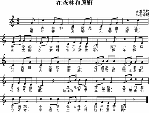 在森林和原野
