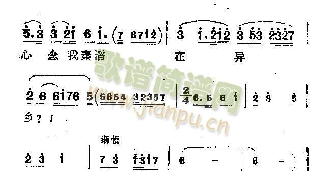 皎皎明月