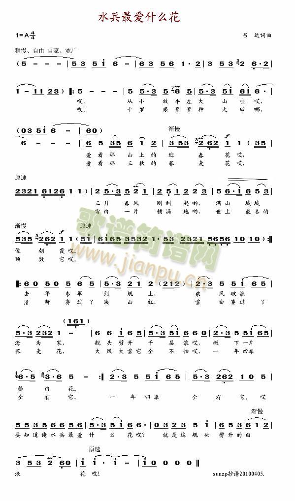 水兵最爱什么花