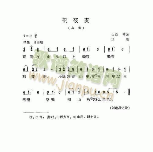 割莜麦（山曲）