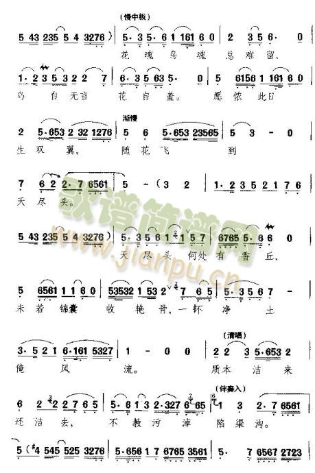 看不尽满眼春色富贵花