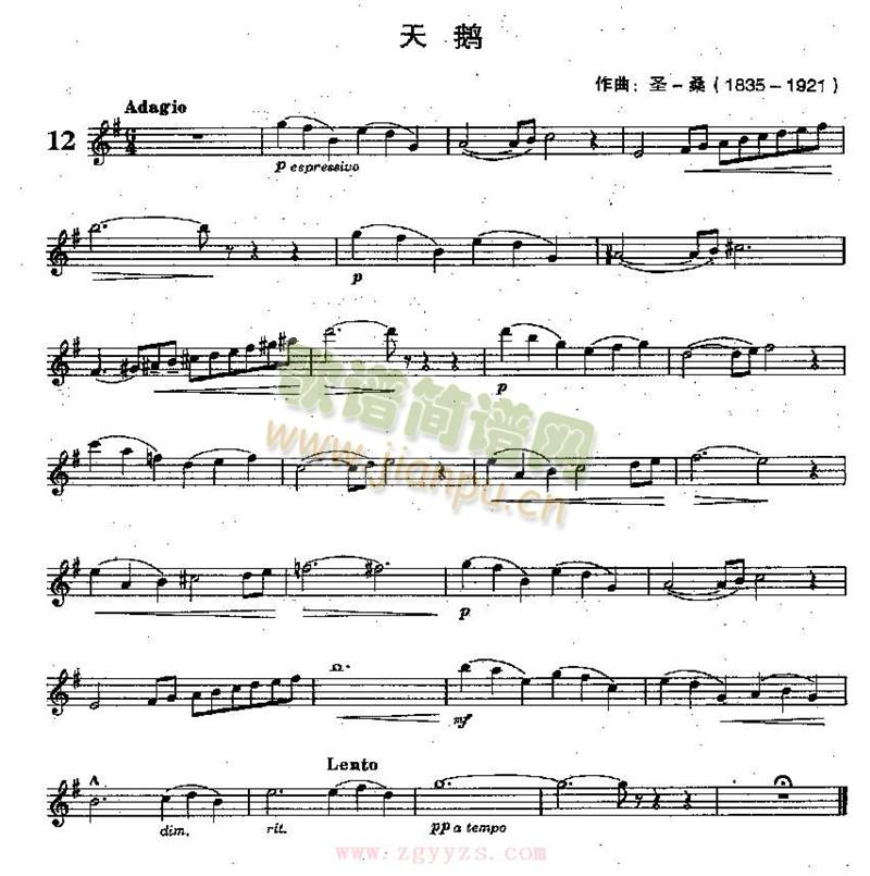圣-桑天鹅
