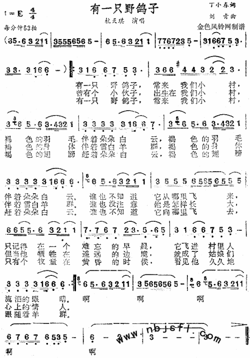 有一只野鸽子