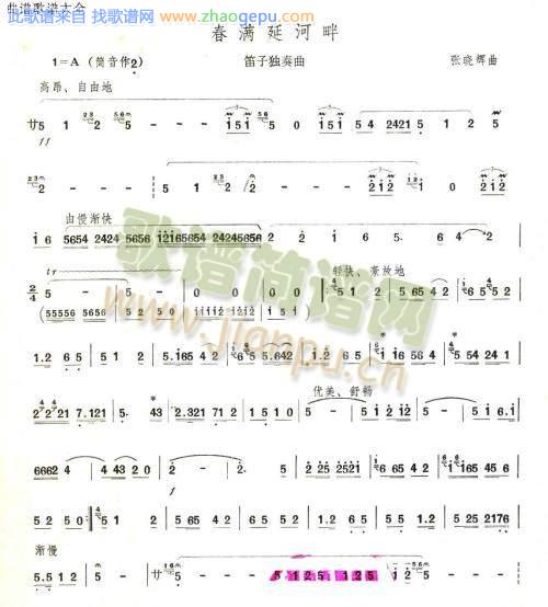 春满延河畔