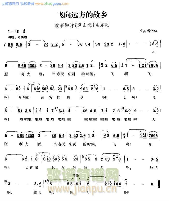 飞向远方的故乡