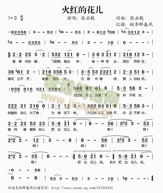 火红的花儿