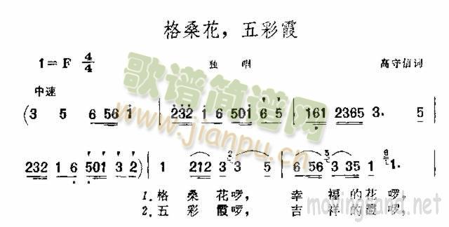 格桑花，五彩霞
