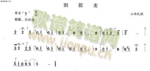割荞麦