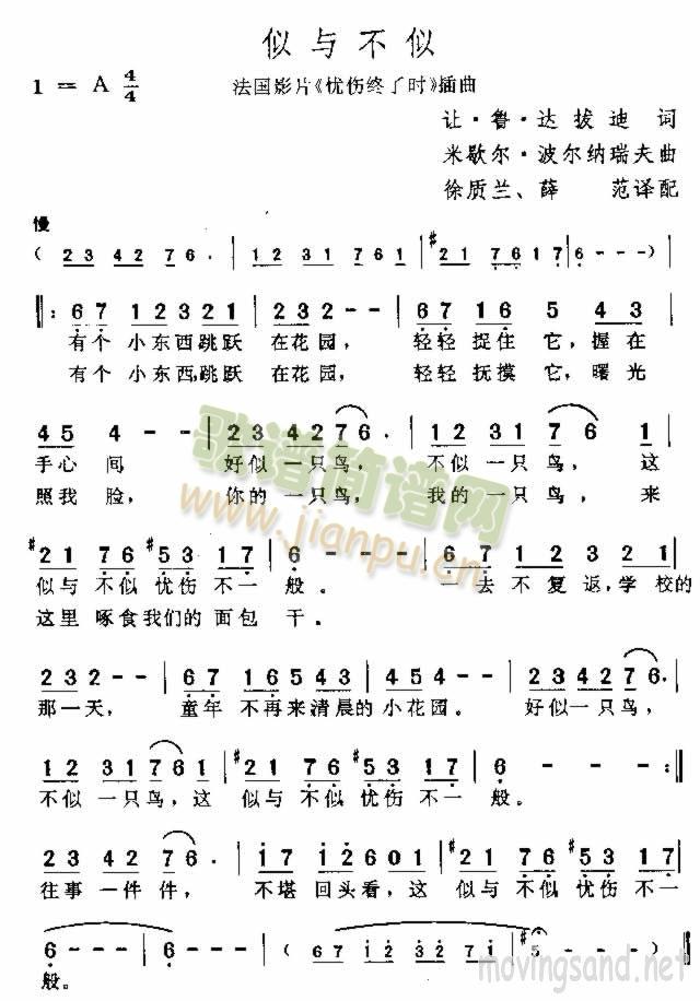 似与不似