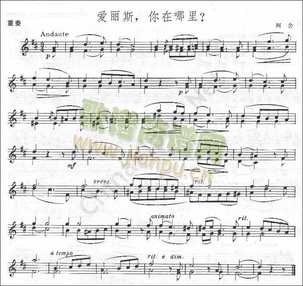 阿舍爱丽斯,你在哪里？