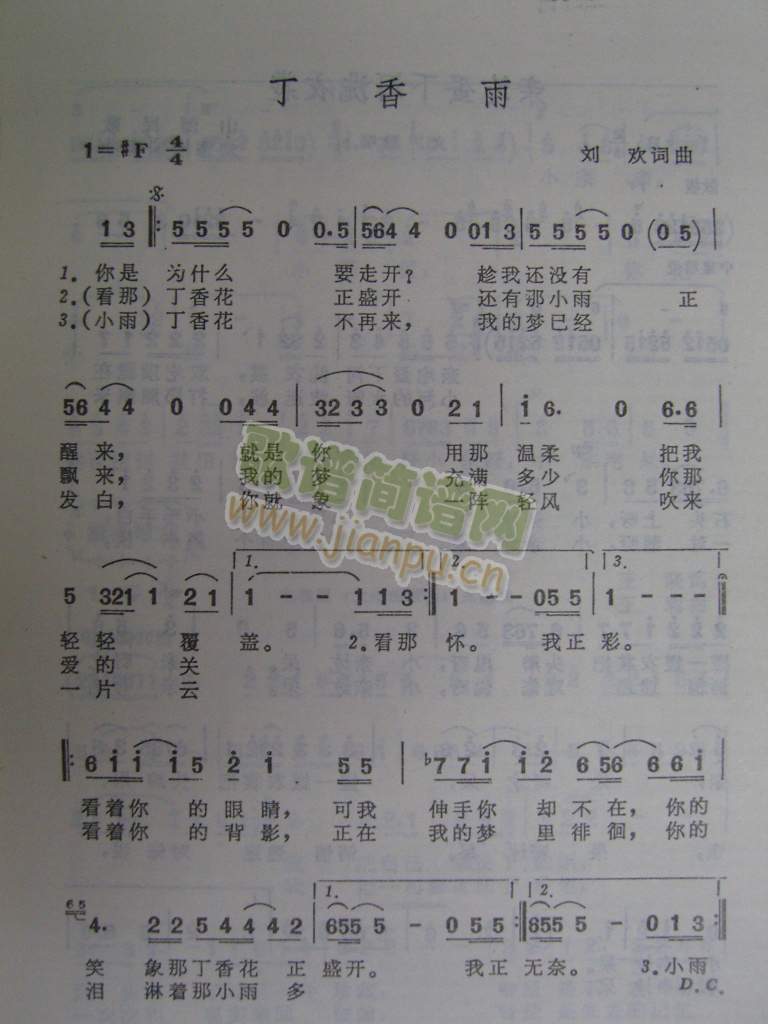 丁香雨