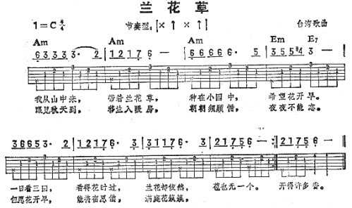 兰花草