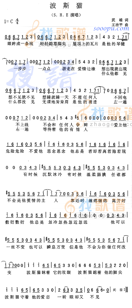 波斯猫