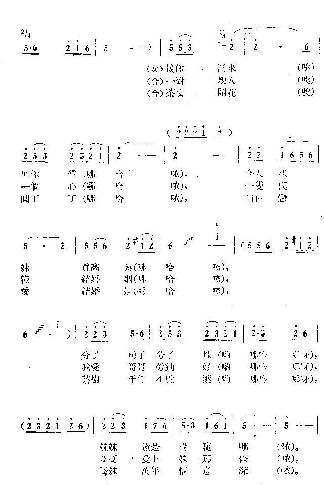 茶树开花园丁丁
