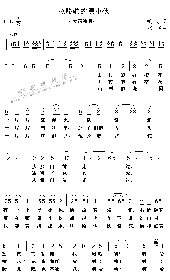 拉骆驼的黑小伙