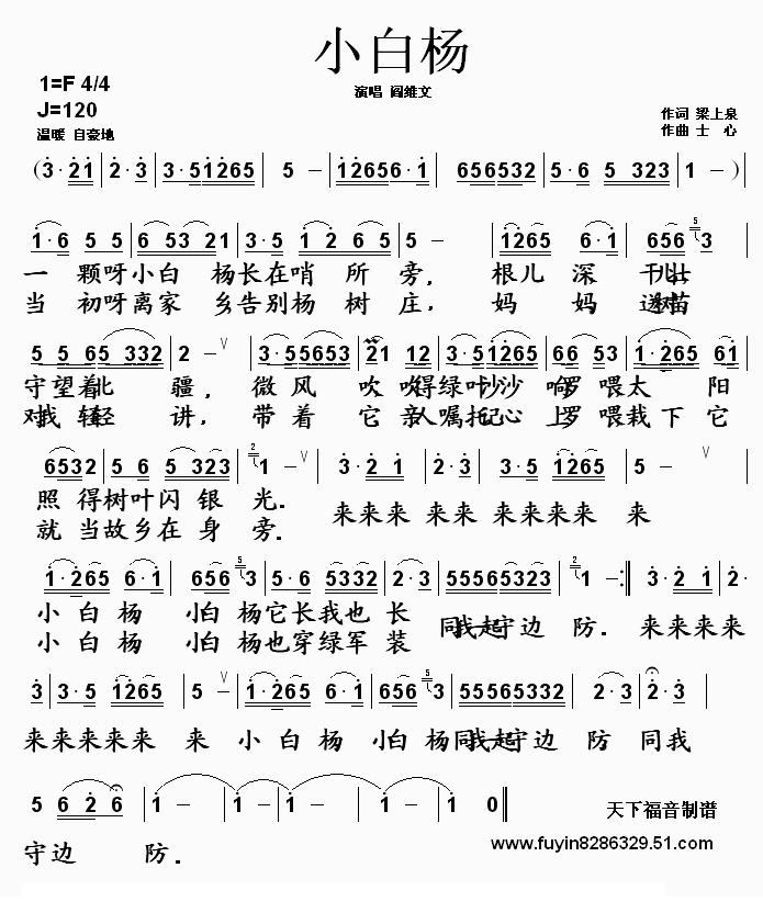 小白杨