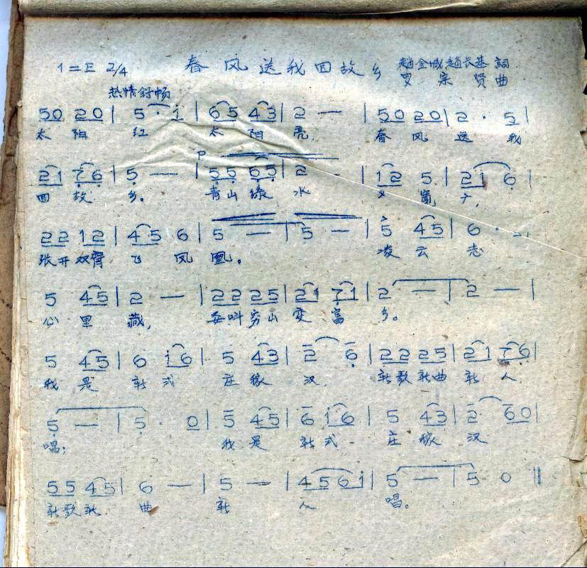 春风送我回故乡