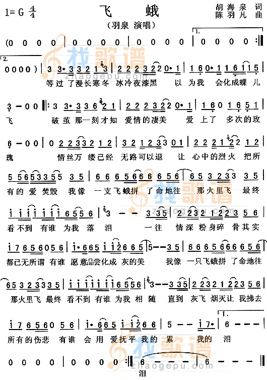 飞蛾