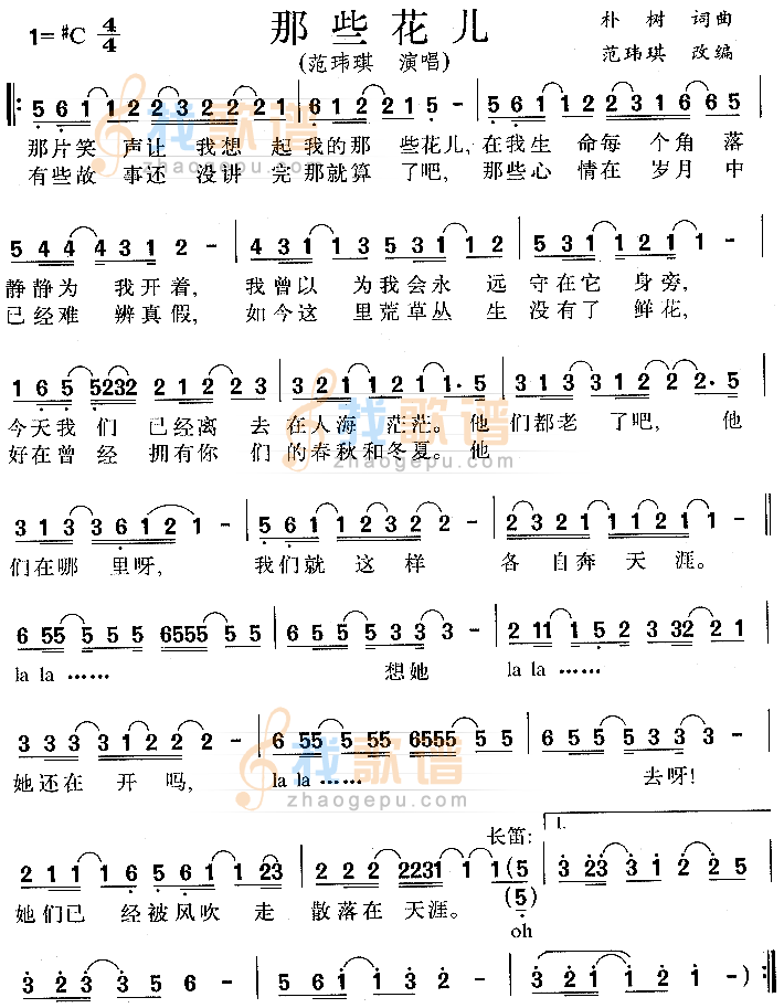 那些花儿(电影那时花开片尾曲)