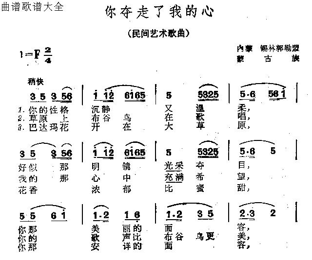 你夺走了我的心