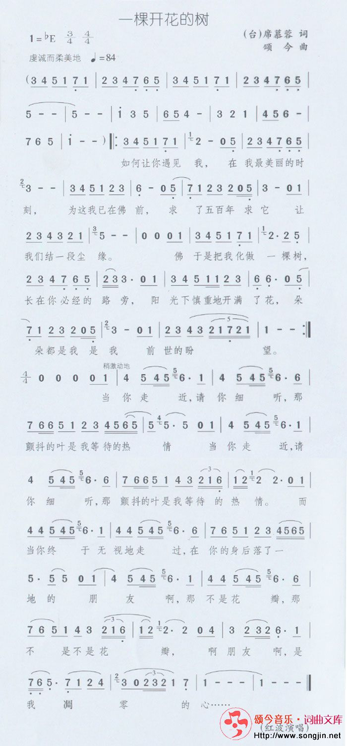 一棵开花的树