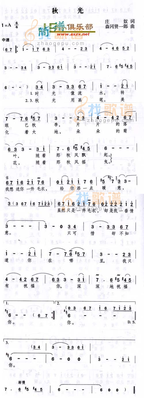 秋光