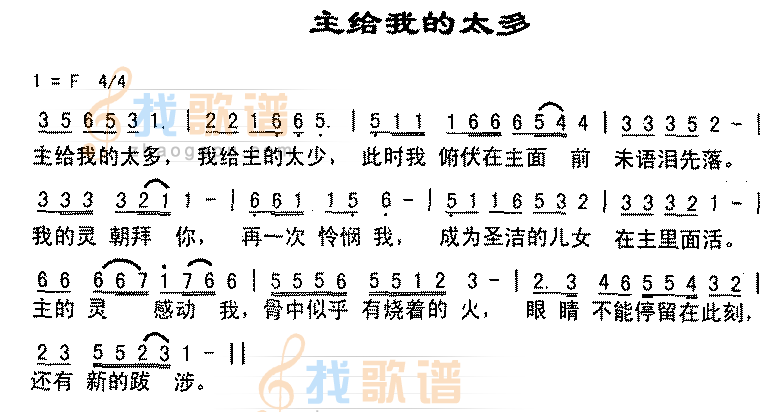 主给我的太多