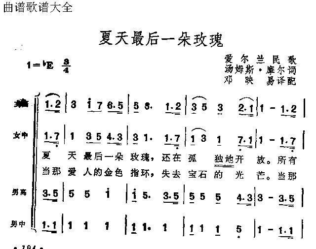 夏日最后一朵玫瑰