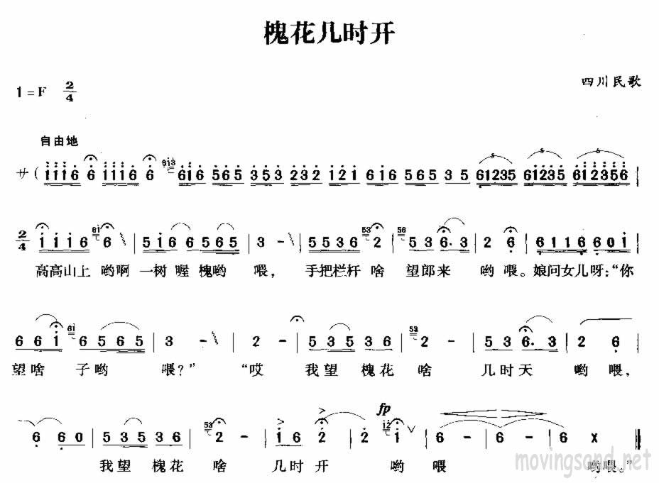 槐花几时开