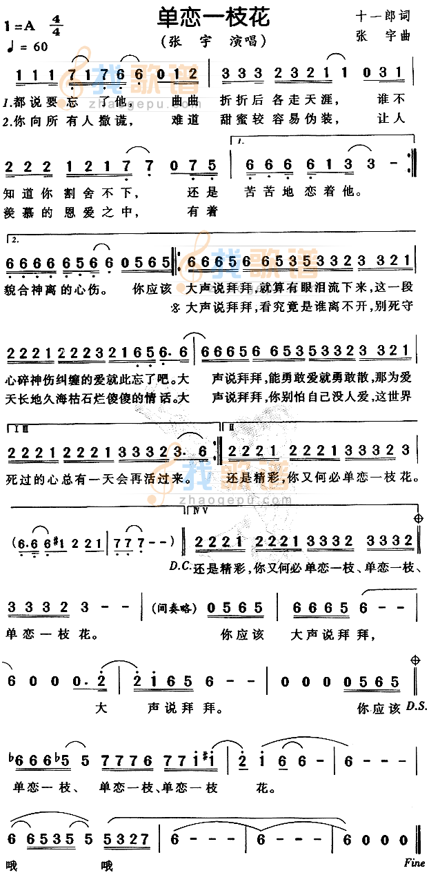 单恋一枝花