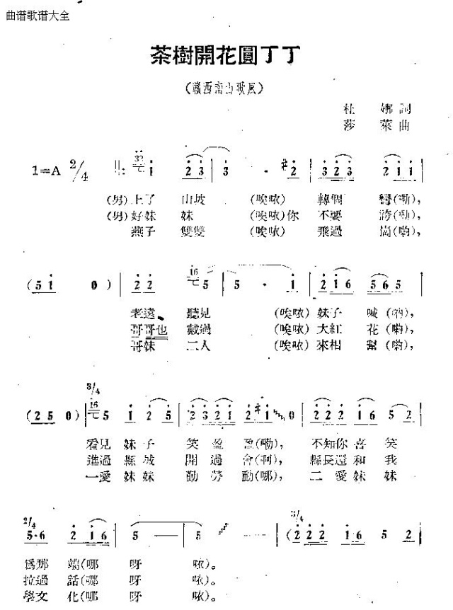 茶树开花园丁丁