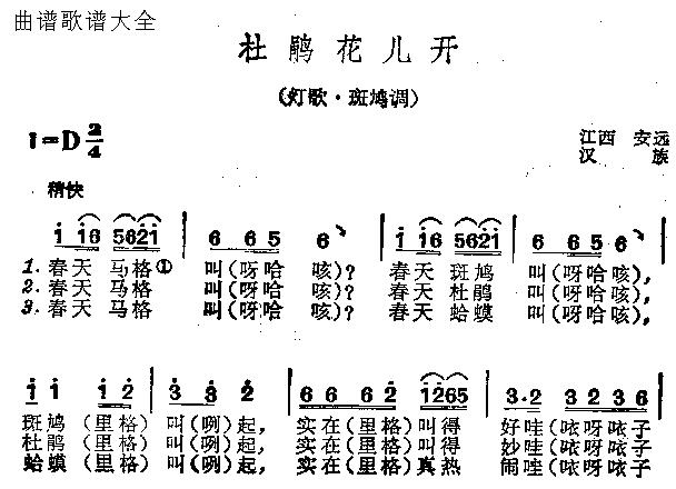 杜鹃花儿开
