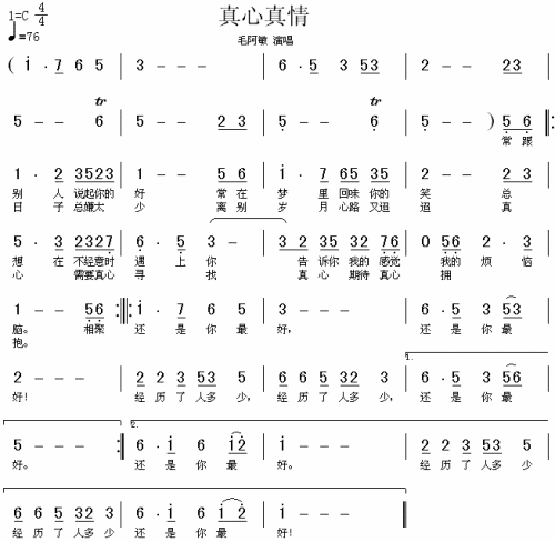 真心真情