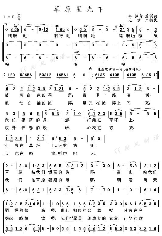 草原星光下