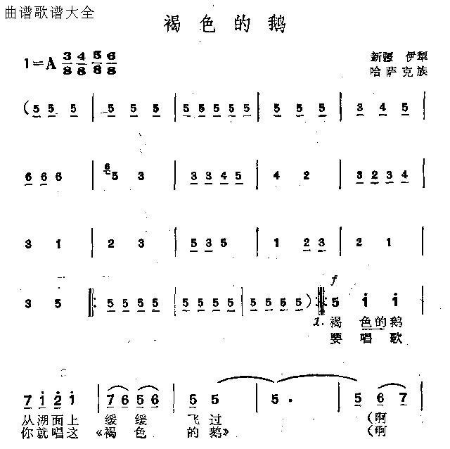 褐色的鹅