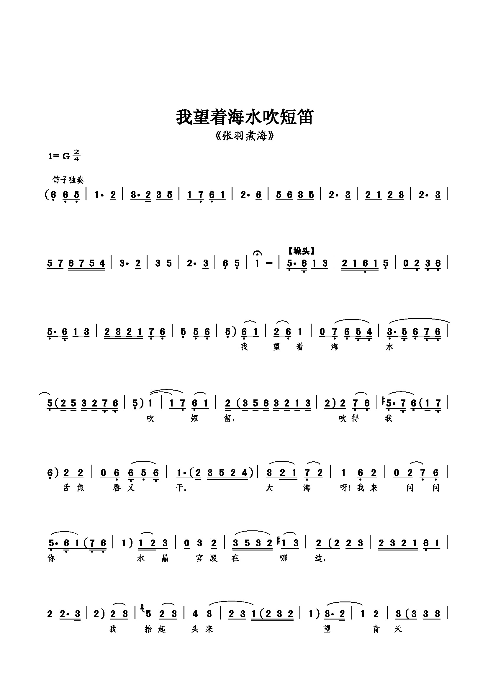 我望着海水吹短笛