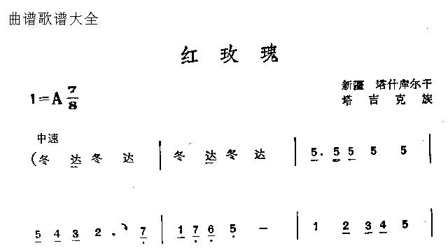红玫瑰