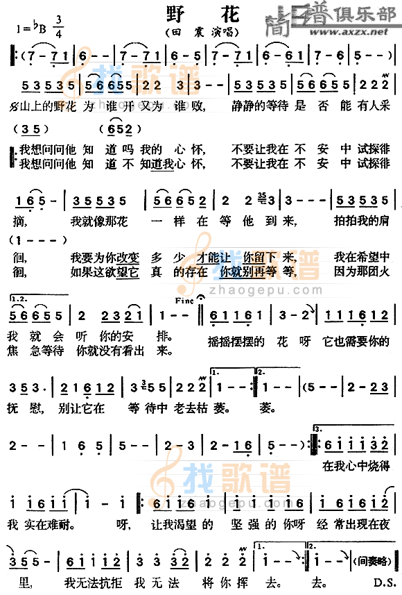 野花