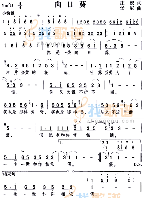向日葵