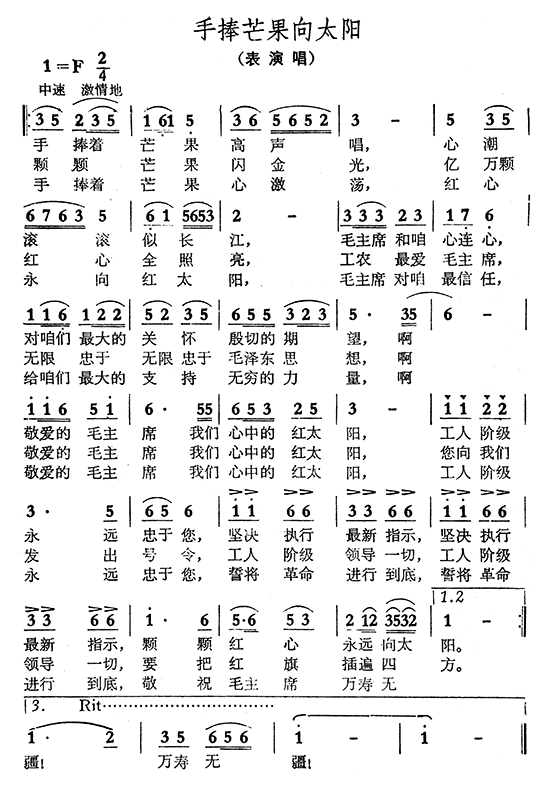 手捧芒果向太阳