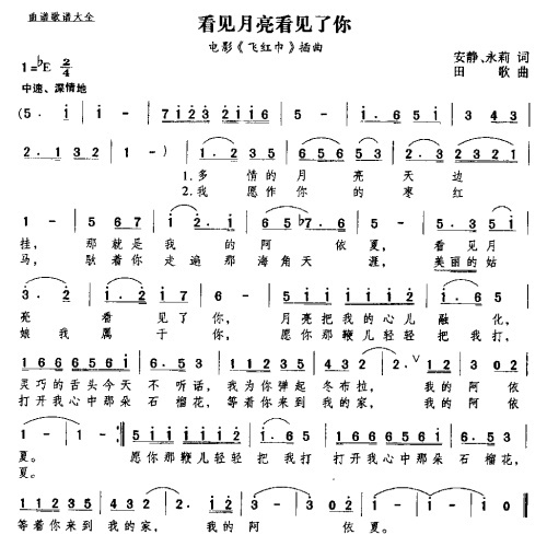 看见月亮看见了你