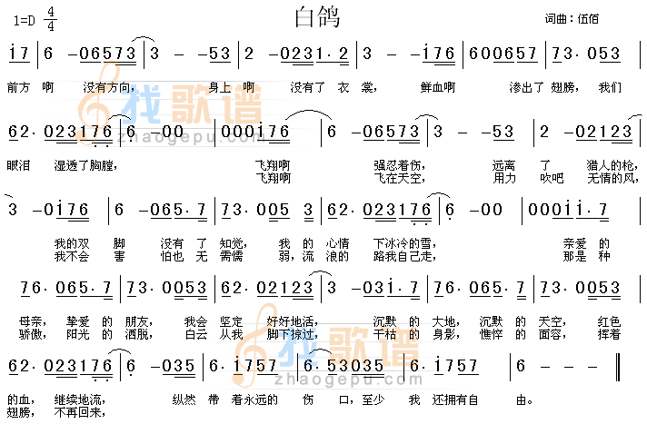 白鸽