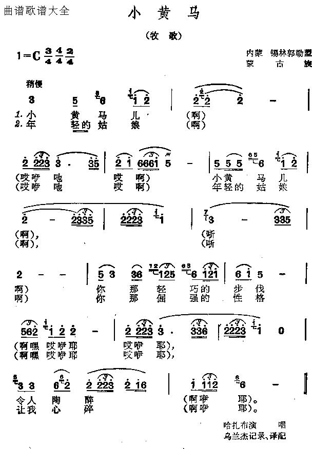小黄马
