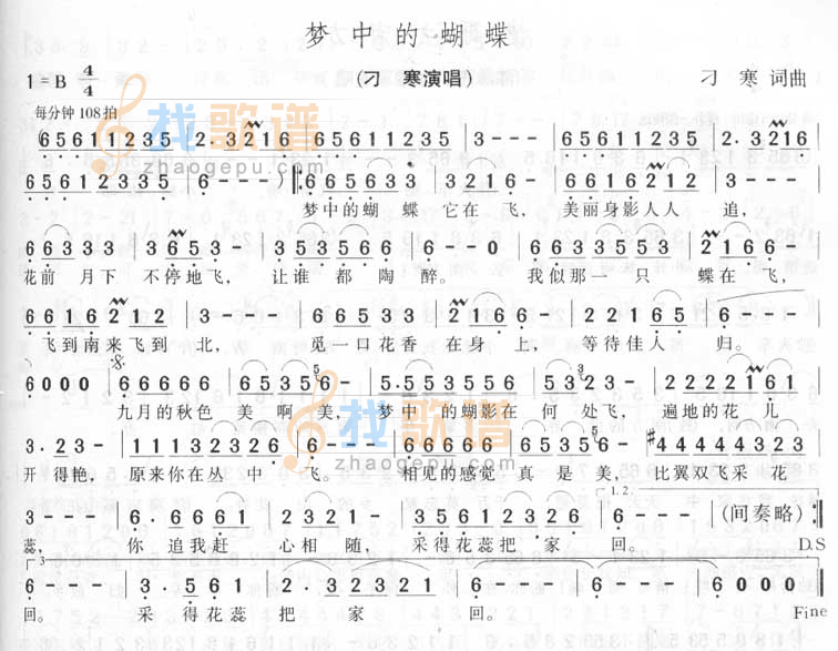 梦中的蝴蝶