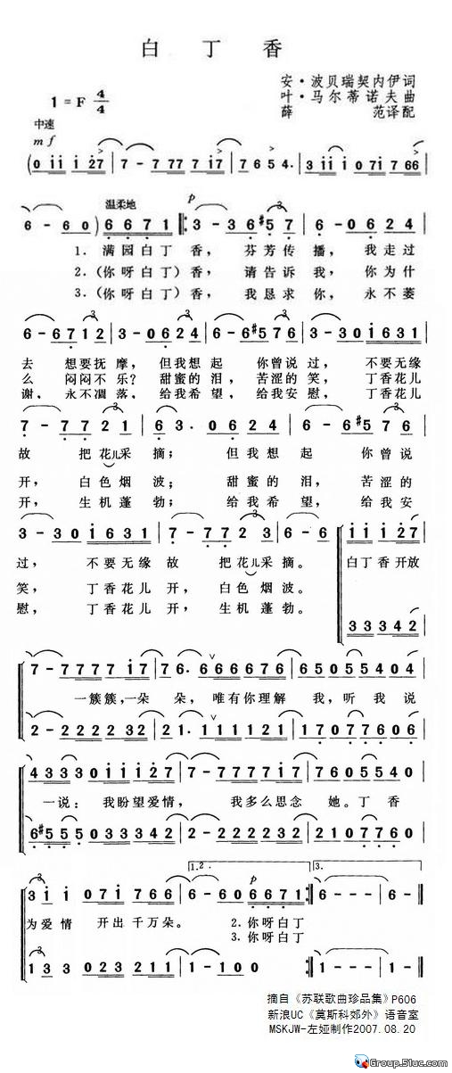 白丁香