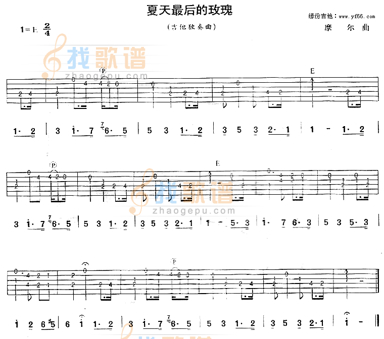 夏天最后的玫瑰