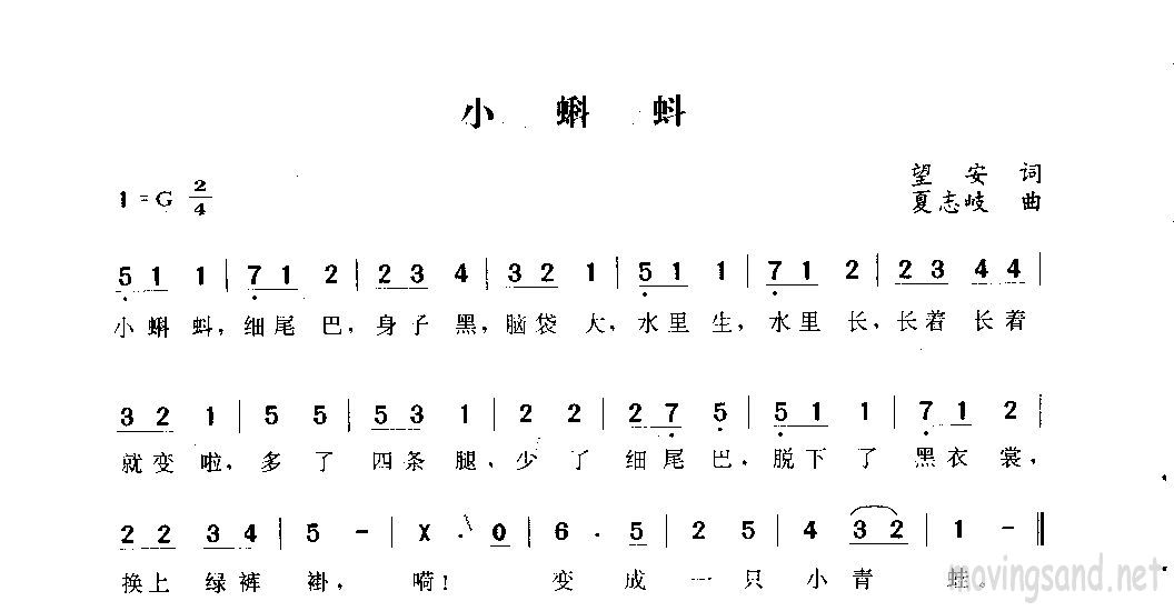 小蝌蚪（新）