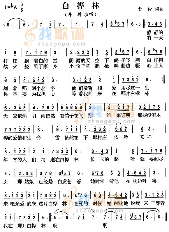 白桦林