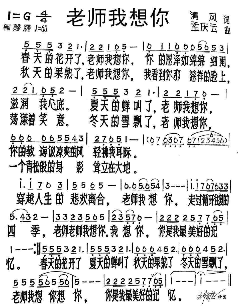 老师我想你
