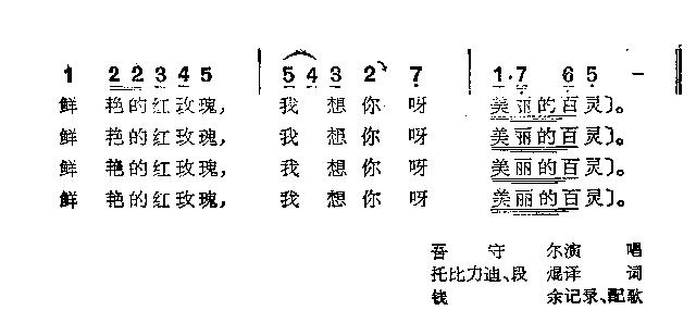 红玫瑰
